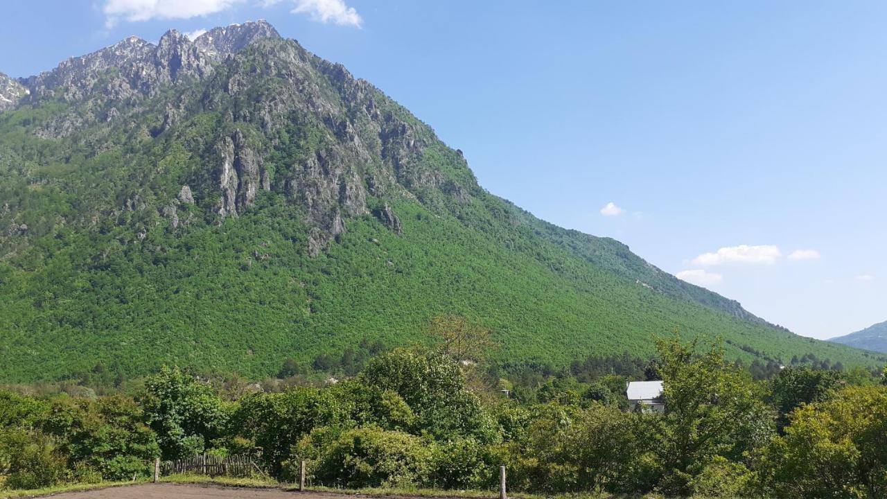 Driti Gh Nderlysa Hotell Shkodër Exteriör bild