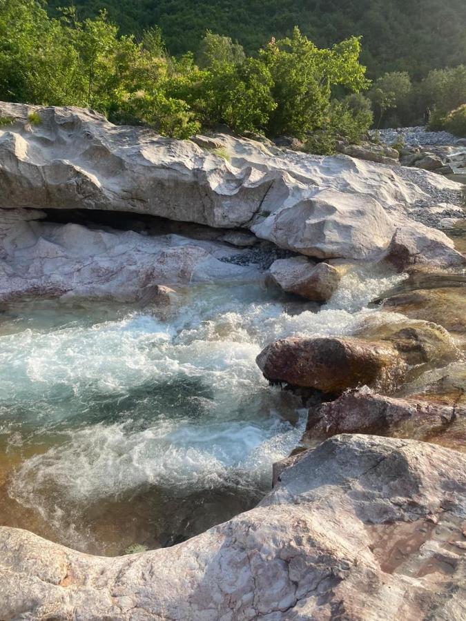 Driti Gh Nderlysa Hotell Shkodër Exteriör bild